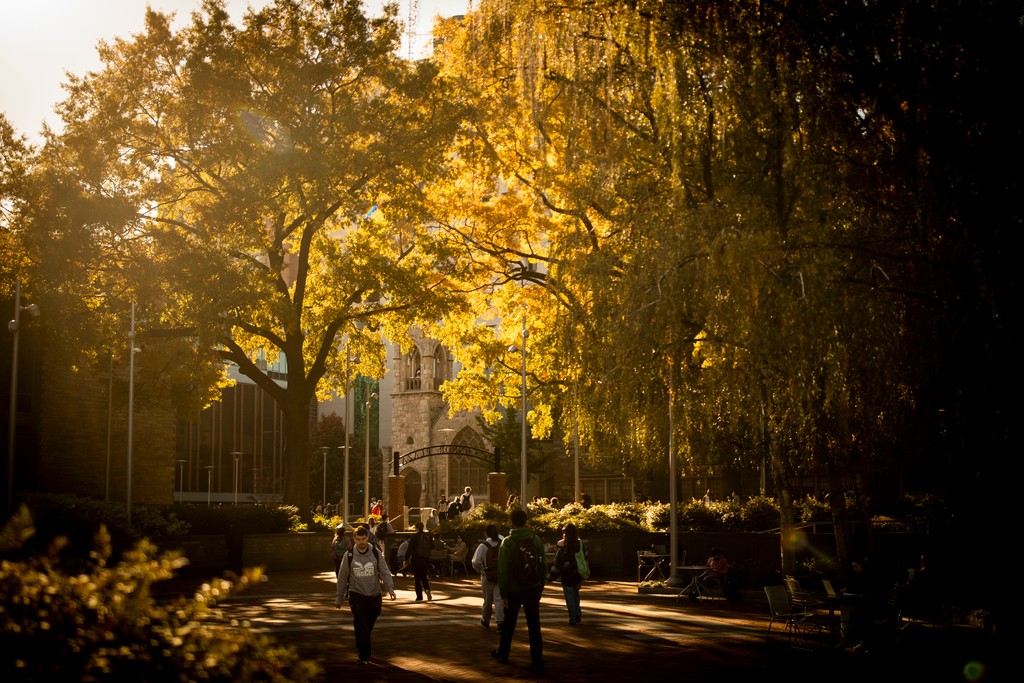 Follow Us on Blue Sky -- Temple Libraries tweet media