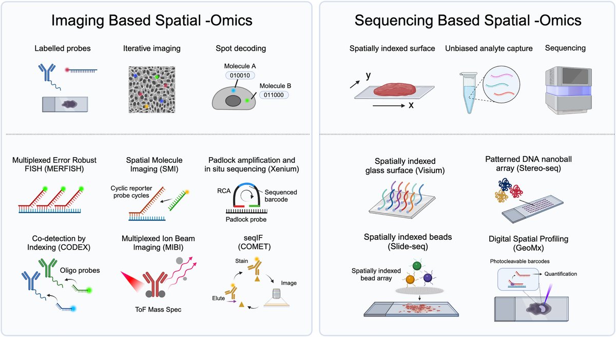 William L Hwang tweet media