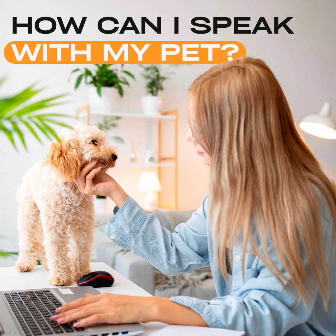 TextTeo_AI's tweet photo. 🐕🐱 Ever wished you could speak "pet"? With Televet TextTeo, you’re one step closer! 

Our platform lets you ask questions about your pet’s health and behavior getting professional veterinary advice in no time. No need to second-guess those little changes in your pet’s mood or routine.

🌍 We’re here to help you give them the best care, wherever you are! Sign up for TextTeo via link in Bio and stay connected with your vet—anytime, anywhere. 🐾

 #PetWellness