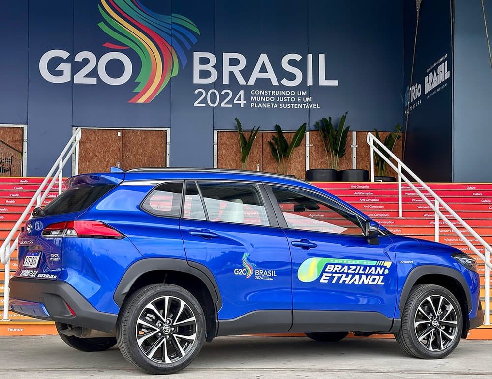 MAIZAR tweet media