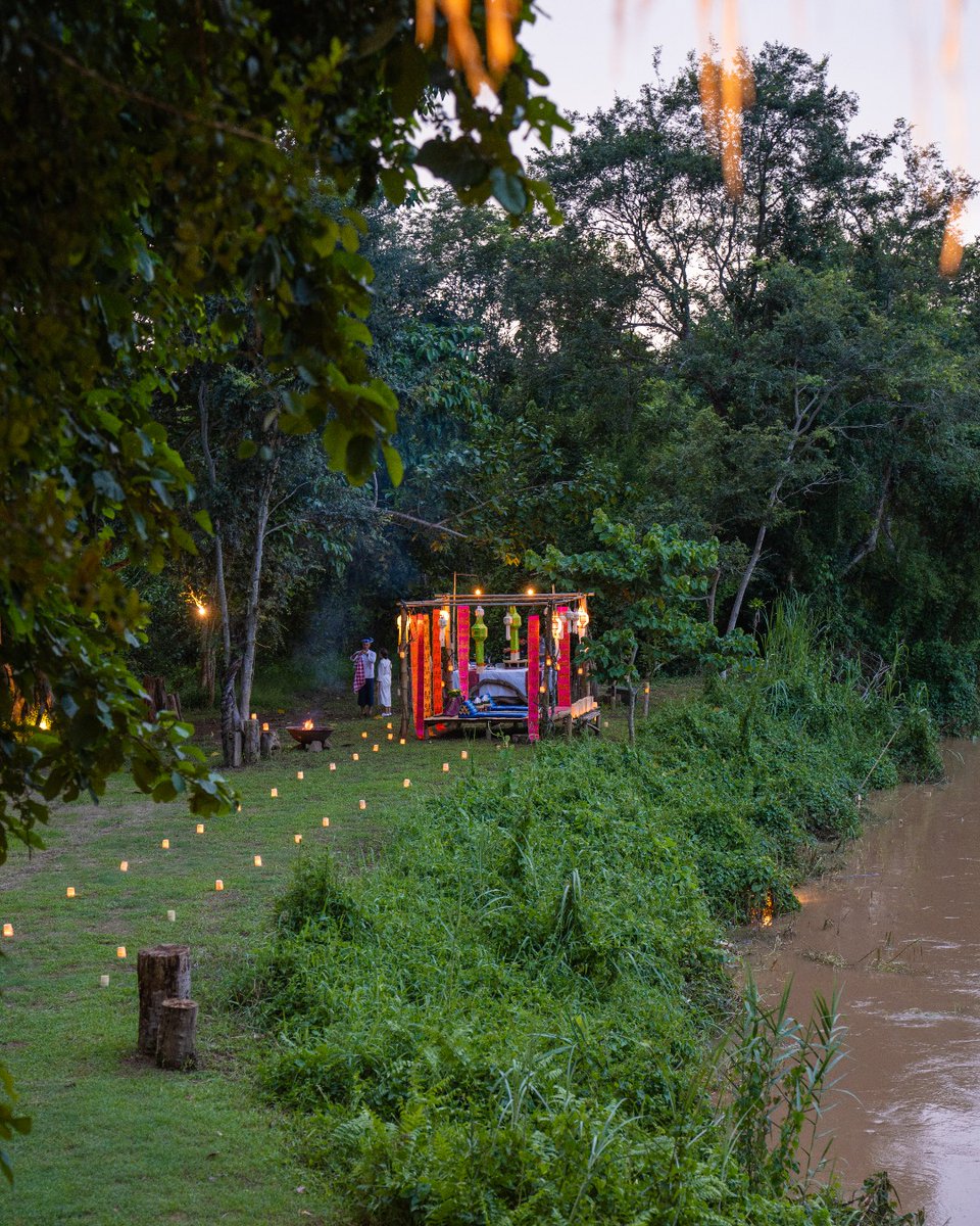 FSThailand's tweet image. Twinkling lights, soothing sounds, and delicious 'Kanthok dinner' by the Ruak River - an unforgettable jungle-style dining experience awaits through the link in the bio. #fstentedcamp #fstasteofwonder  bit.ly/fschr_dining