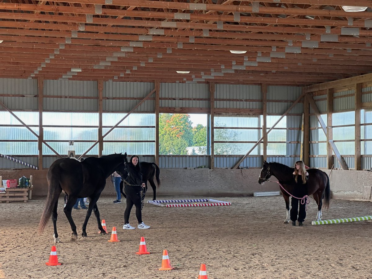 SHSM students from John F. Ross are taking part in an incredible Equine Learning experience at Skye Blue Acres, developing their communication skills by working with horses. 🐴 Through hands-on activities, they learned the power of non-verbal cues and teamwork!