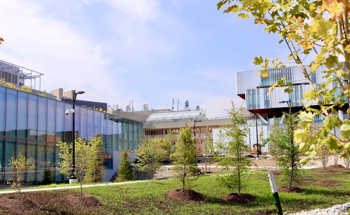 U of T Mississauga tweet media