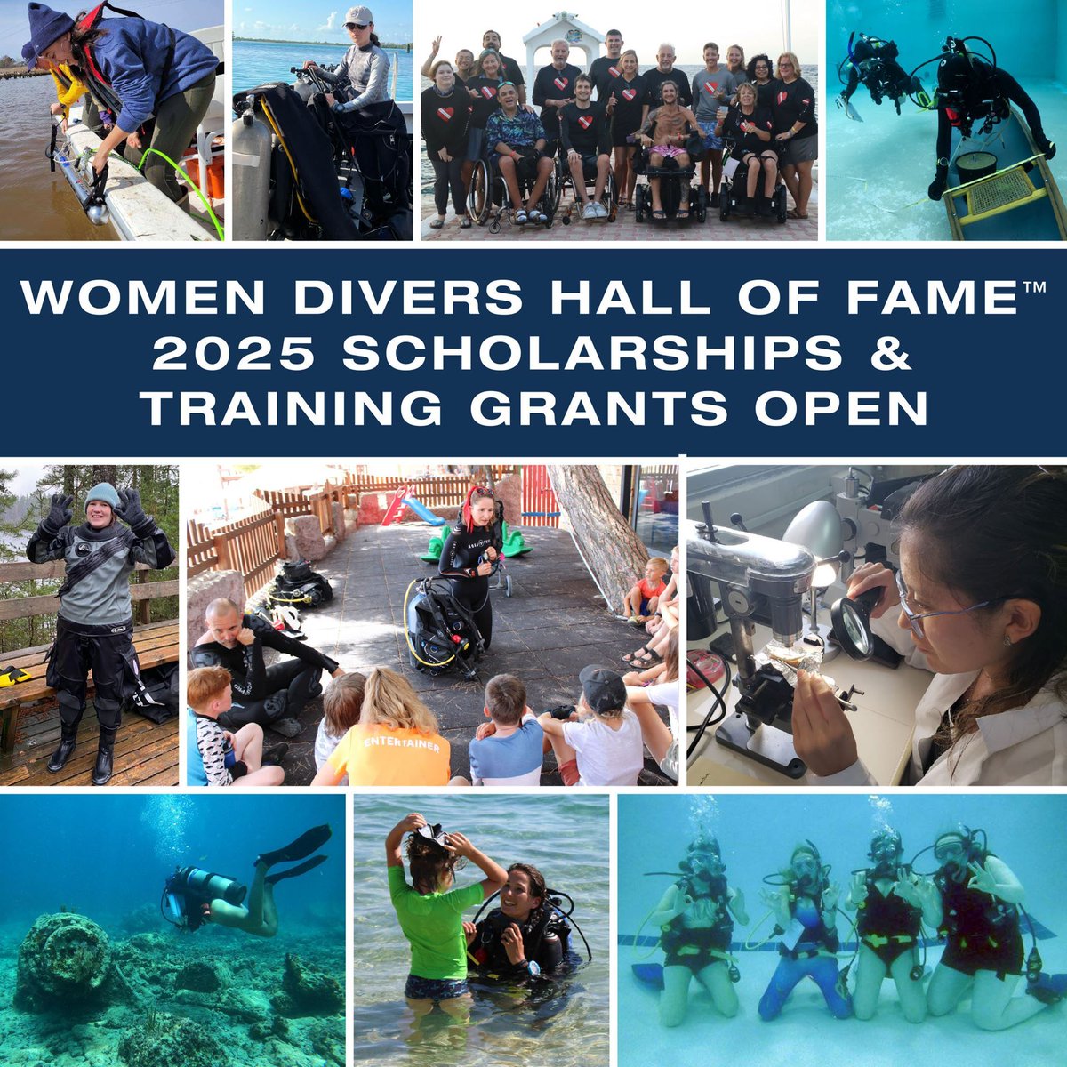 SDI Divers tweet media