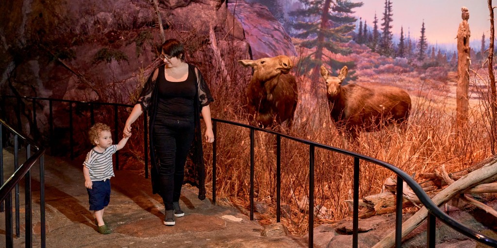 ManitobaMuseum's tweet image. Tomorrow, enjoy FREE Friday Friday admission to Manitoba Museum from 4 to 9 pm! Spark your imagination in the Science Gallery, tour the night sky in the Planetarium, and check out SCO anniversary exhibit &apos;Manidoo Miinniigooizowin&apos;! 

Oct. 4 details: ow.ly/f4lw50TBJol
