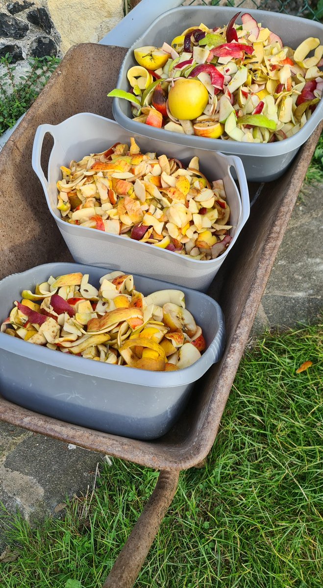 SisterWalburga's tweet image. A lot of apple peelings for the compost
#SimplyLife  #Choice4God