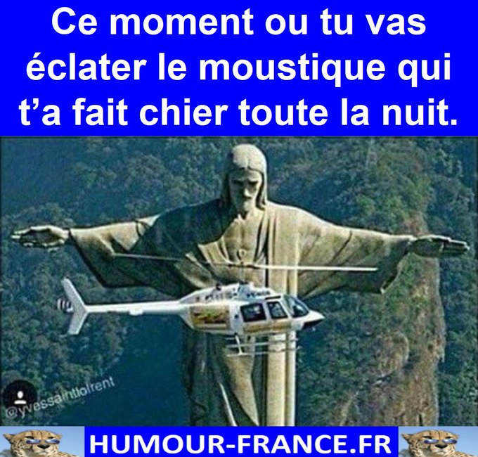 text alternatif