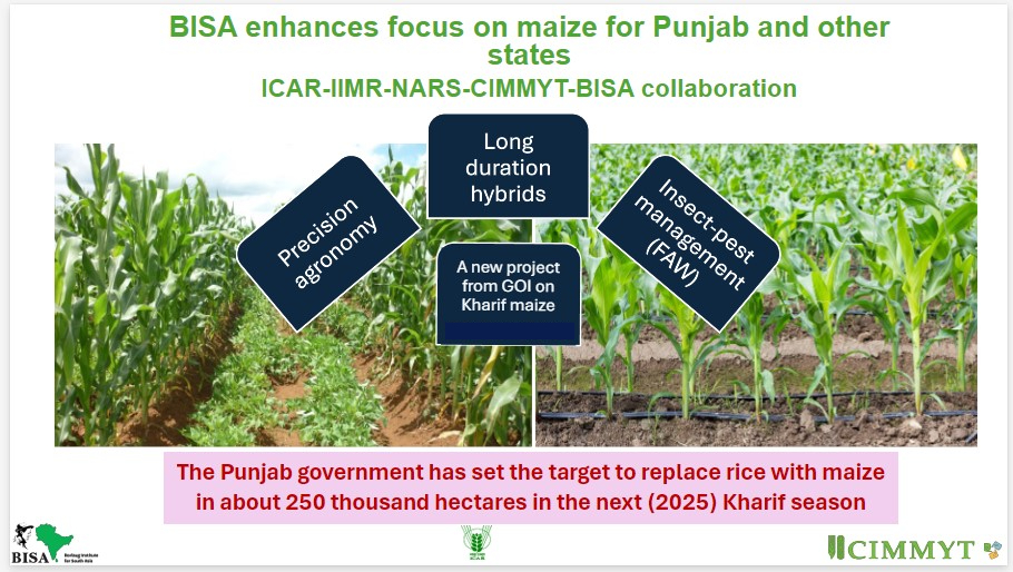 BISA__India's tweet photo. #BISAIMPACT
CIMMYT-BISA together with various stakeholders from the public & Private sector is gearing up to elevate Maize research. It will address all bottlenecks to establish sustainable and economically viable maize production in Punjab.
#BISAExCo2024 https://t.co/TuO0lOF0dq