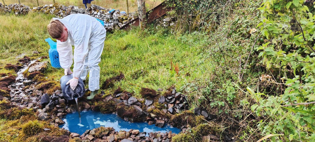 GsiGroundwater's tweet photo. Trace number 4 to define the groundwater catchment to Lough Carra is underway! Beautiful sunny day for our dye input. Excited to see where the dye will re-emerge @LoughCarraLife, @TOBIN1952 @GeolSurvIE @Dept_ECC https://t.co/a3PkZJnJbu