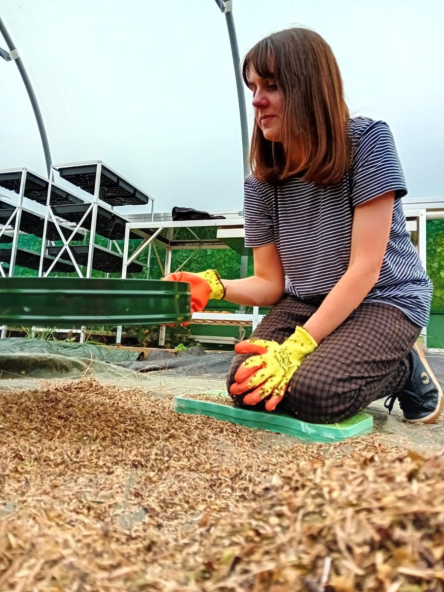Vale Nature Partnership (@vale_lnp) on Twitter photo The <a href="/Vale_LNP/">Vale Nature Partnership</a> and <a href="/Thawproject/">Restore the Thaw Landscape</a> teams were busy last week sorting locally harvested wildflower seed for our polytunnel at Amelia Trust Farm 🌼🌱. These seeds will help create species-rich meadows across the Vale to support pollinators and insects 🐝🦋🦗🦇. The <a href="/Vale_LNP/">Vale Nature Partnership</a> and <a href="/Thawproject/">Restore the Thaw Landscape</a> teams were busy last week sorting locally harvested wildflower seed for our polytunnel at Amelia Trust Farm 🌼🌱. These seeds will help create species-rich meadows across the Vale to support pollinators and insects 🐝🦋🦗🦇.