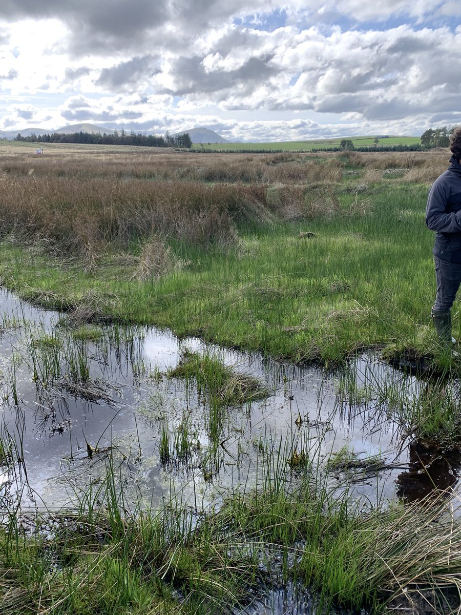 LakesFarming (@farminglakes) on Twitter photo Today as part of the Upland Farming for Net Zero course at <a href="/CumbriaUni/">University of Cumbria</a>, Eliza visited Low Beckside Farm to walk, talk about on farm carbon and see their ongoing Fen creation project. Today as part of the Upland Farming for Net Zero course at <a href="/CumbriaUni/">University of Cumbria</a>, Eliza visited Low Beckside Farm to walk, talk about on farm carbon and see their ongoing Fen creation project.