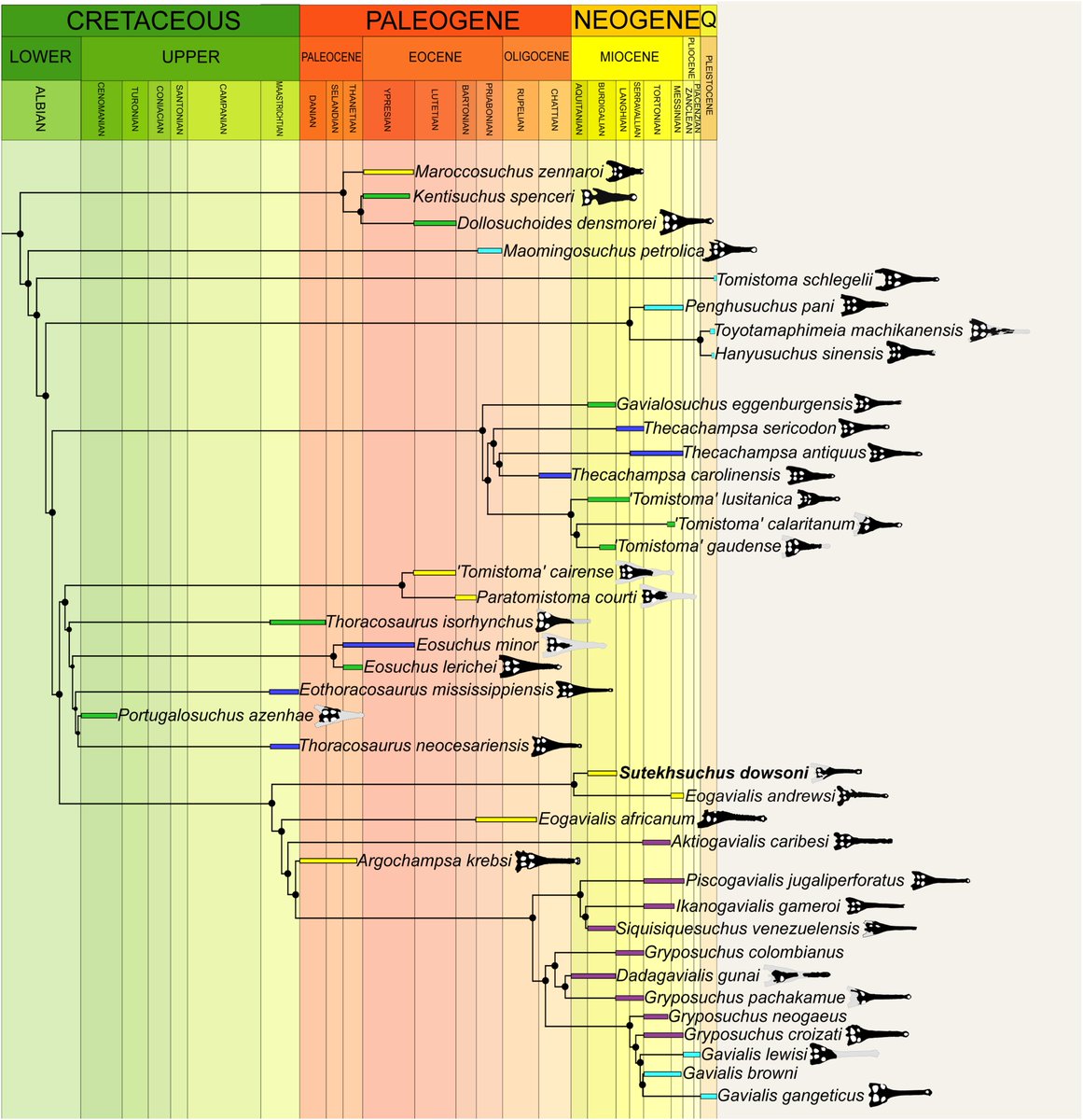 Phil Mannion tweet media