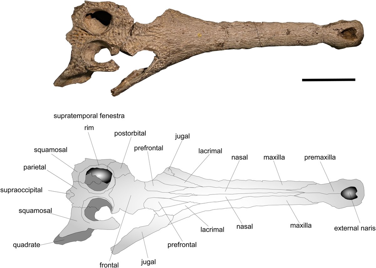 Phil Mannion tweet media
