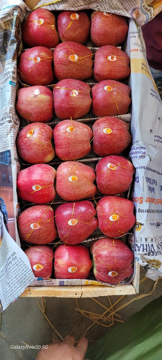 aadilumar06's tweet photo. Quality matters 🍎 https://t.co/PqmKrCEdnz