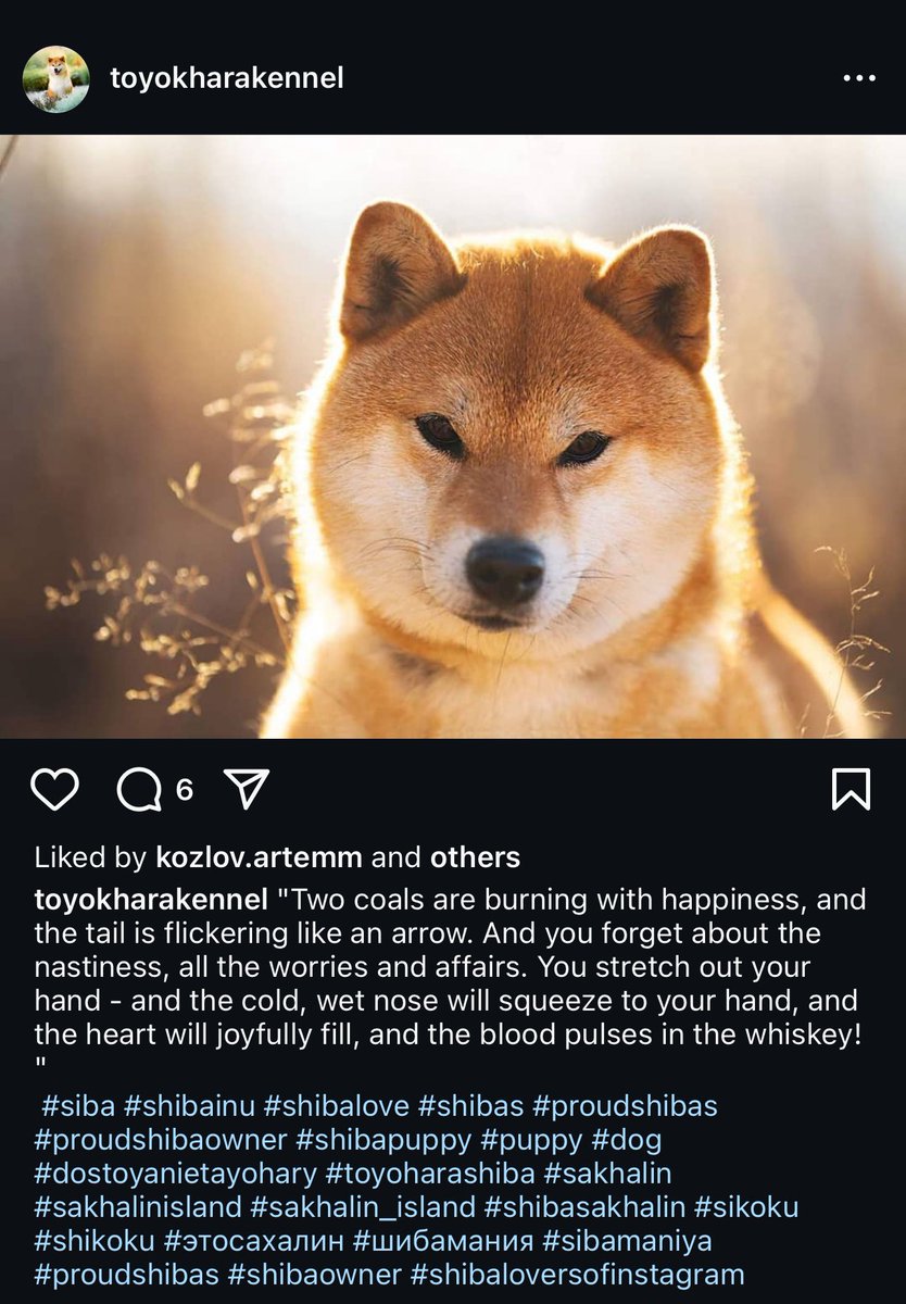 EstiCTO's tweet photo. @VikingXBT @esteecoin She also calls her dog by $Esti

0xa929b10077f9ab12fc21b31d6d564698c01532d1 https://t.co/VfPR5KlVvB