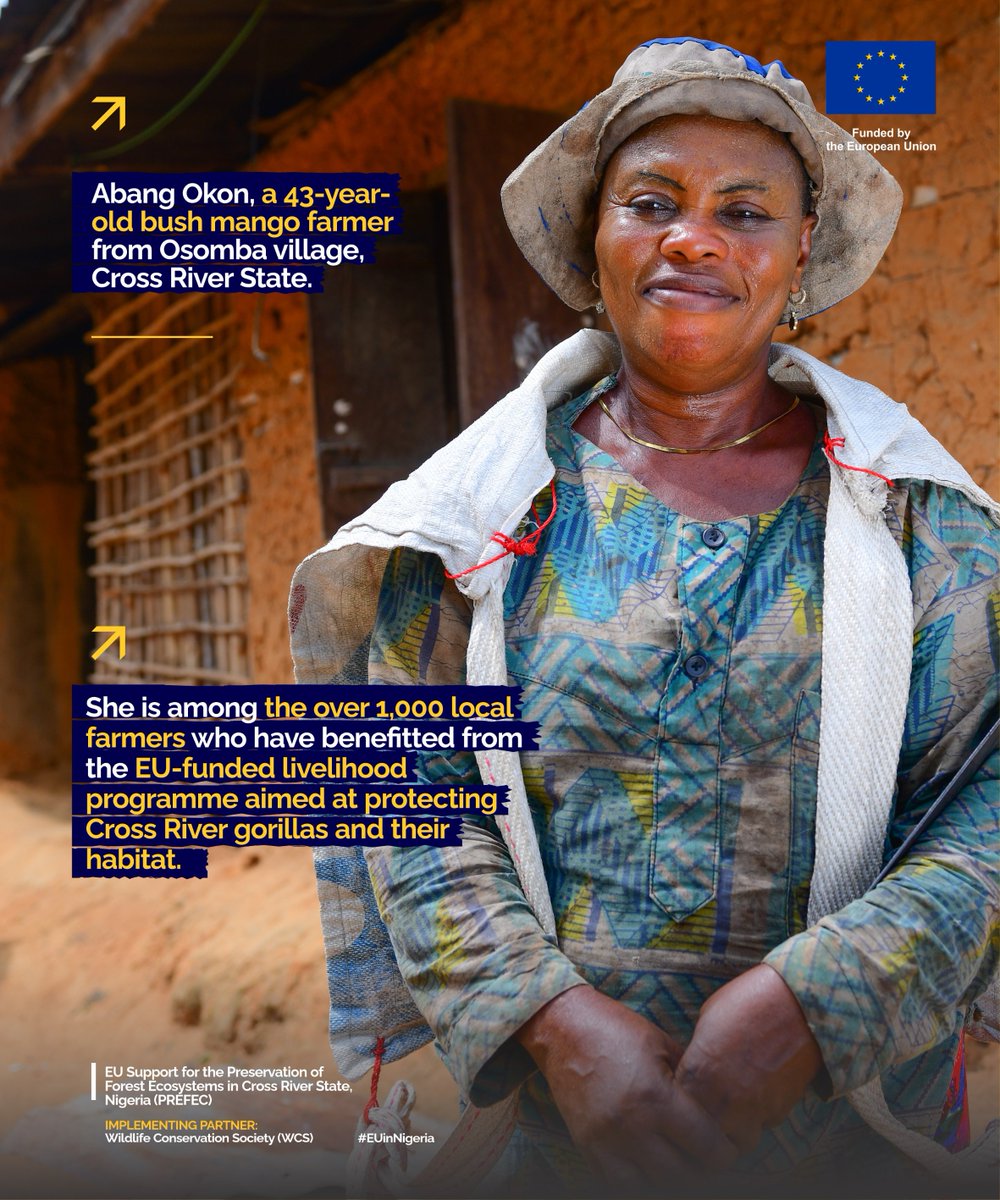 EUinNigeria's tweet photo. In Osomba, Cross River State, bush mango farmers Abang Okon and Regina Ntui are transforming their livelihoods through the EU-funded PREFEC programme. Alongside 1,000+ farmers, they’ve received tools and seedlings, boosting their farms. #EUinNigeria https://t.co/2AUaWWhuS9