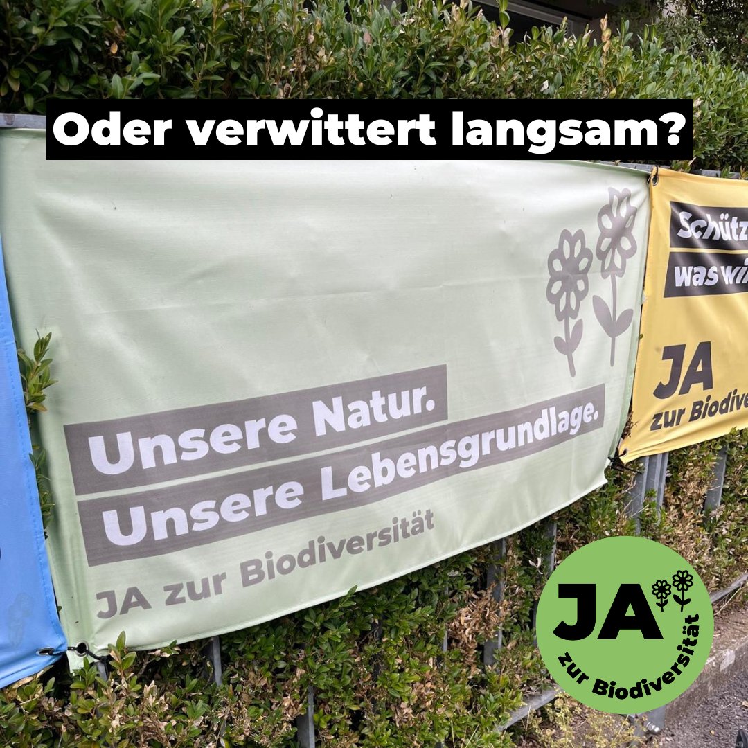 biodivInit's tweet photo. Die #Biodiversitätskrise bleibt eine dringende Herausforderung. Deshalb: Setze ein Zeichen und lasse deine Fahne hängen! Hast du noch keine oder ist sie beschädigt? Schreib uns an: Info@biodiversitaetsinitiative.ch #UnsereLebensgrundlagen #Biodiversitätsinitiative https://t.co/yep47KsO3k