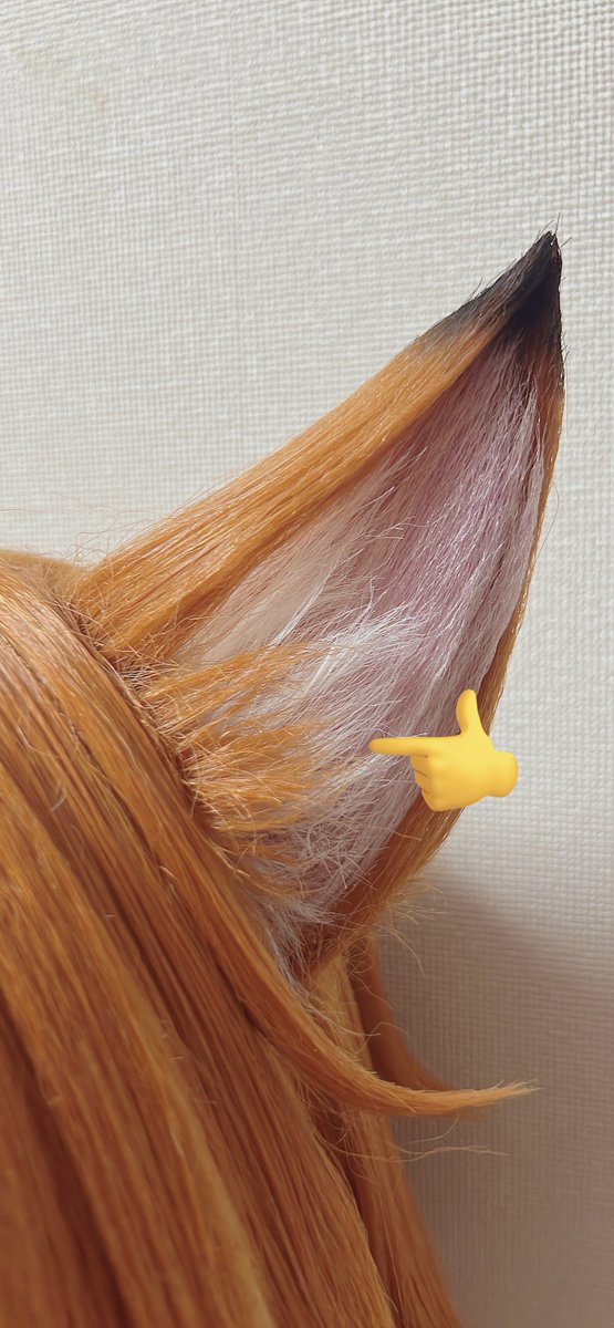 neko_maocat's tweet photo. お耳の注目度が凄かったので、一応解説するとウィッグ単体とは別で毛束3箇所に植えてます

まず本体から耳の形のベースの△を整えて、手前にピンク、白、茶、後ろにも透け防止に茶を植えて、カットして形を整えて固める

最後耳の折れ曲がった部分で本体から取って切って、形整えてそっと被せて終了 https://t.co/Q5MPwQhnjo