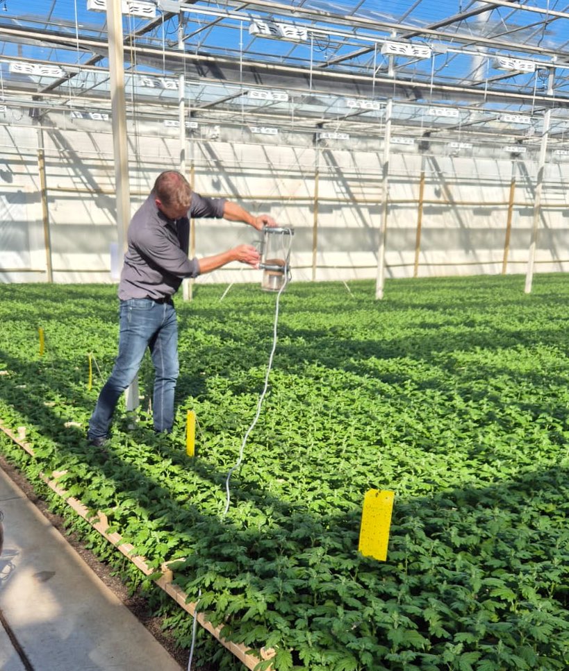 Alliance Sierteelt tweet media