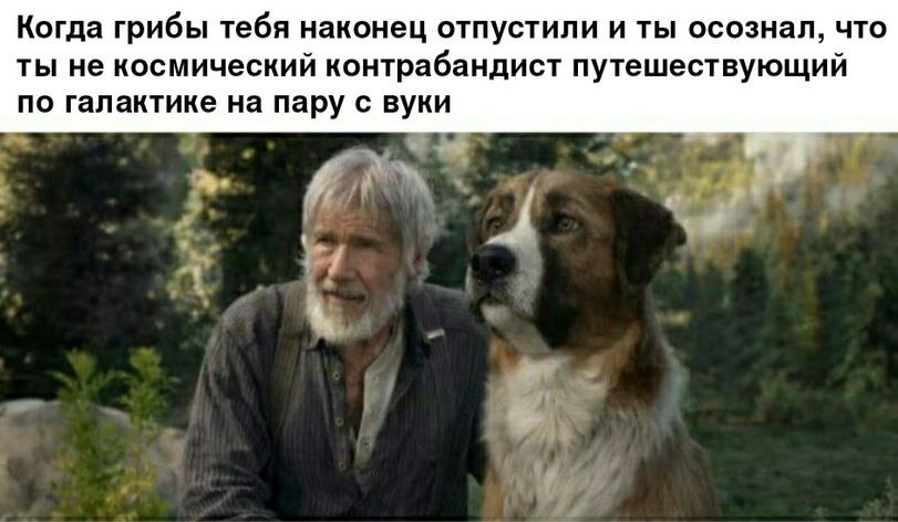 verdugo111's tweet photo. @Hrustaleva__ https://t.co/HaUHpoZPvV