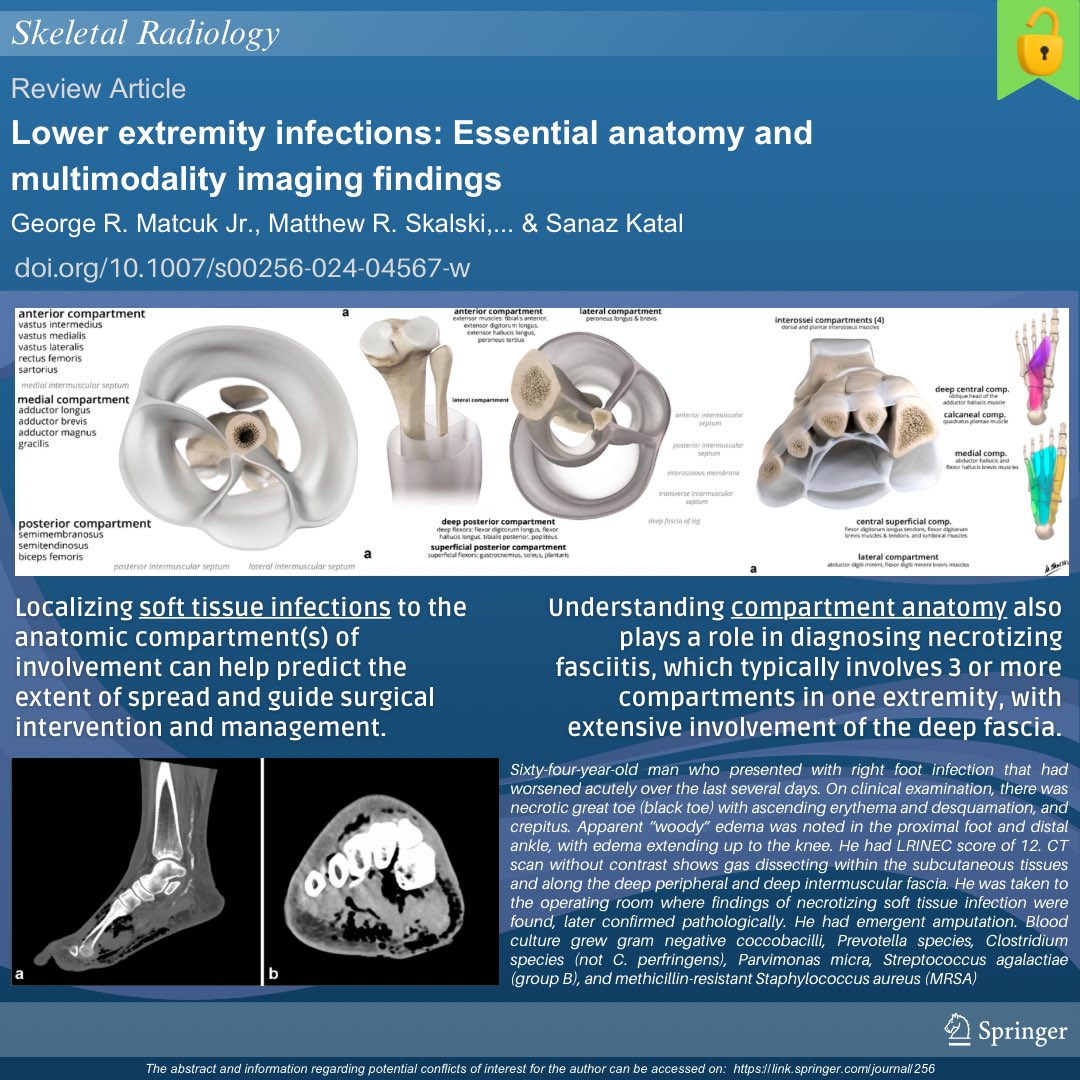 Skeletal Radiology (@skeletaljournal) on Twitter photo 🔓 Open access:
🟢 Lower extremity infections: Essential anatomy and multimodality imaging findings | doi.org/10.1007/s00256…
#SkeletalRadiology #radiology #ultrasound #MRI #MSKrad #orthopedics #infection 🔓 Open access:
🟢 Lower extremity infections: Essential anatomy and multimodality imaging findings | doi.org/10.1007/s00256…
#SkeletalRadiology #radiology #ultrasound #MRI #MSKrad #orthopedics #infection