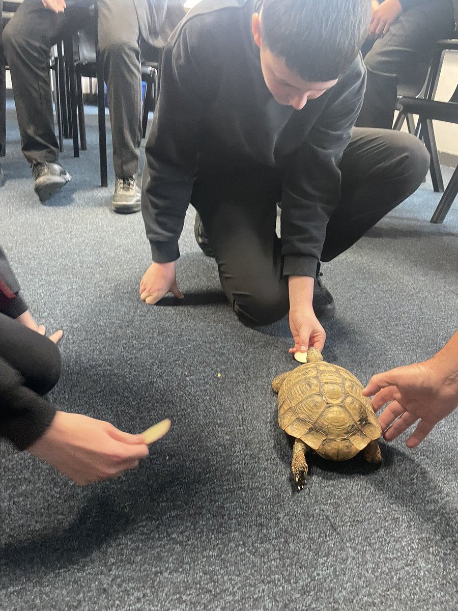 Tommy 🐢had a fantastic day visiting everyone <a href="/BraesHigh/">Braes High School</a> 💚