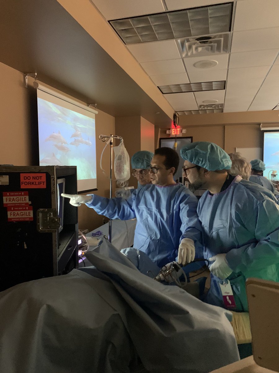 Texas HoLEP Masterclass 2024 tweet media