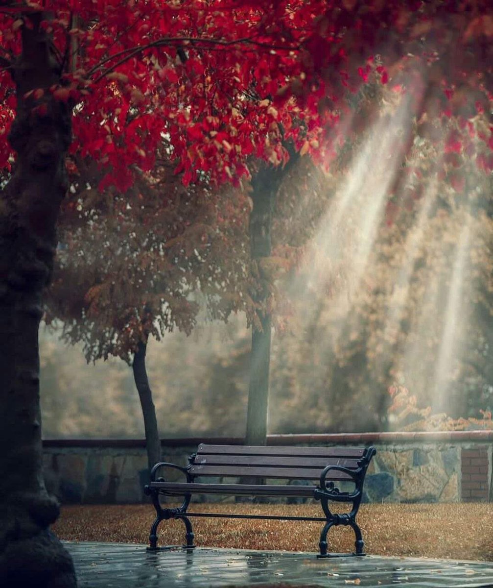 حدثني عن شعور لا ترغب أَن تَعيشه مرة أُخرى....... 🖤