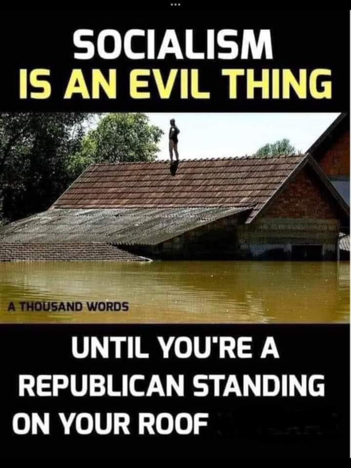 dirty firefly tweet media