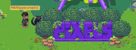 crypto_h89's tweet photo. @pixels_online https://t.co/OXNYtGP1Pu