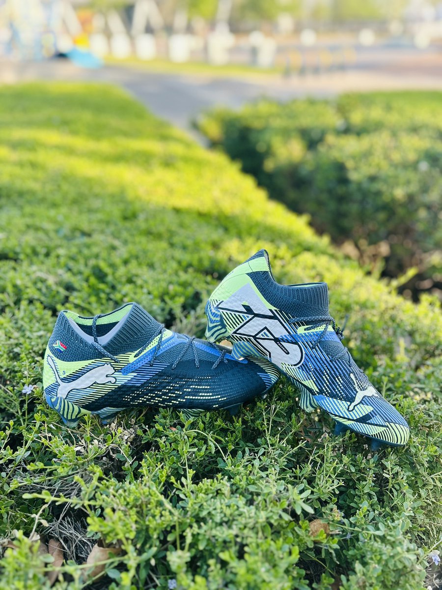 Zanele Madonsela5 tweet media