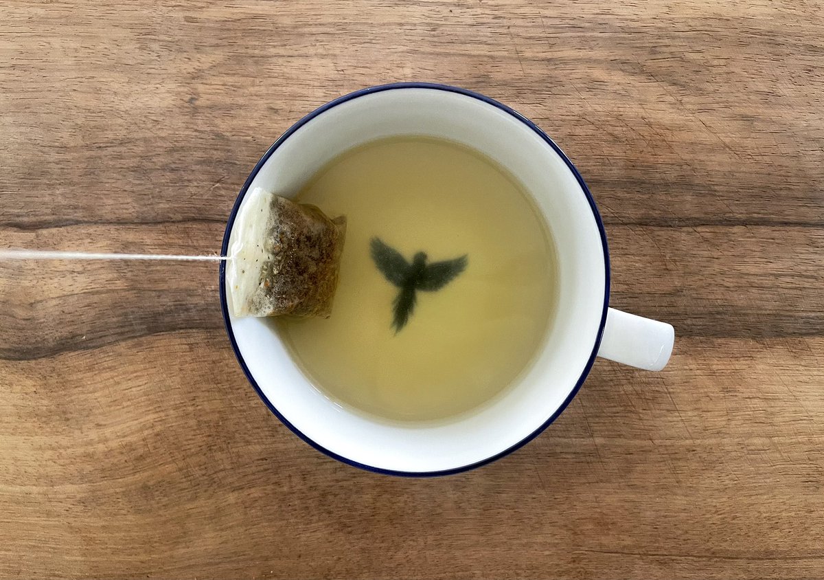 __ella___ella__'s tweet image. officially a book podcasts listener