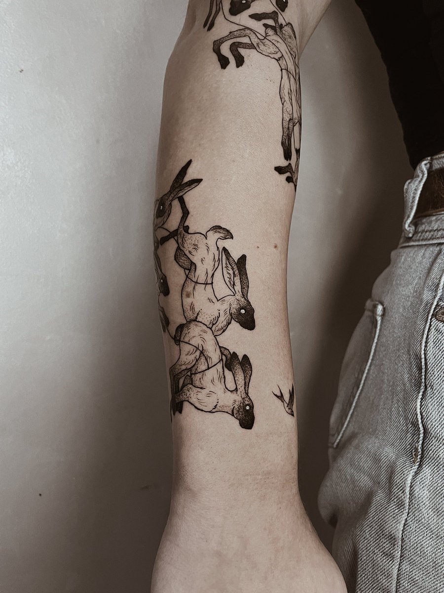 serkiton's tweet image. These are Rhosgobel rabbits. I'd like to see them try.