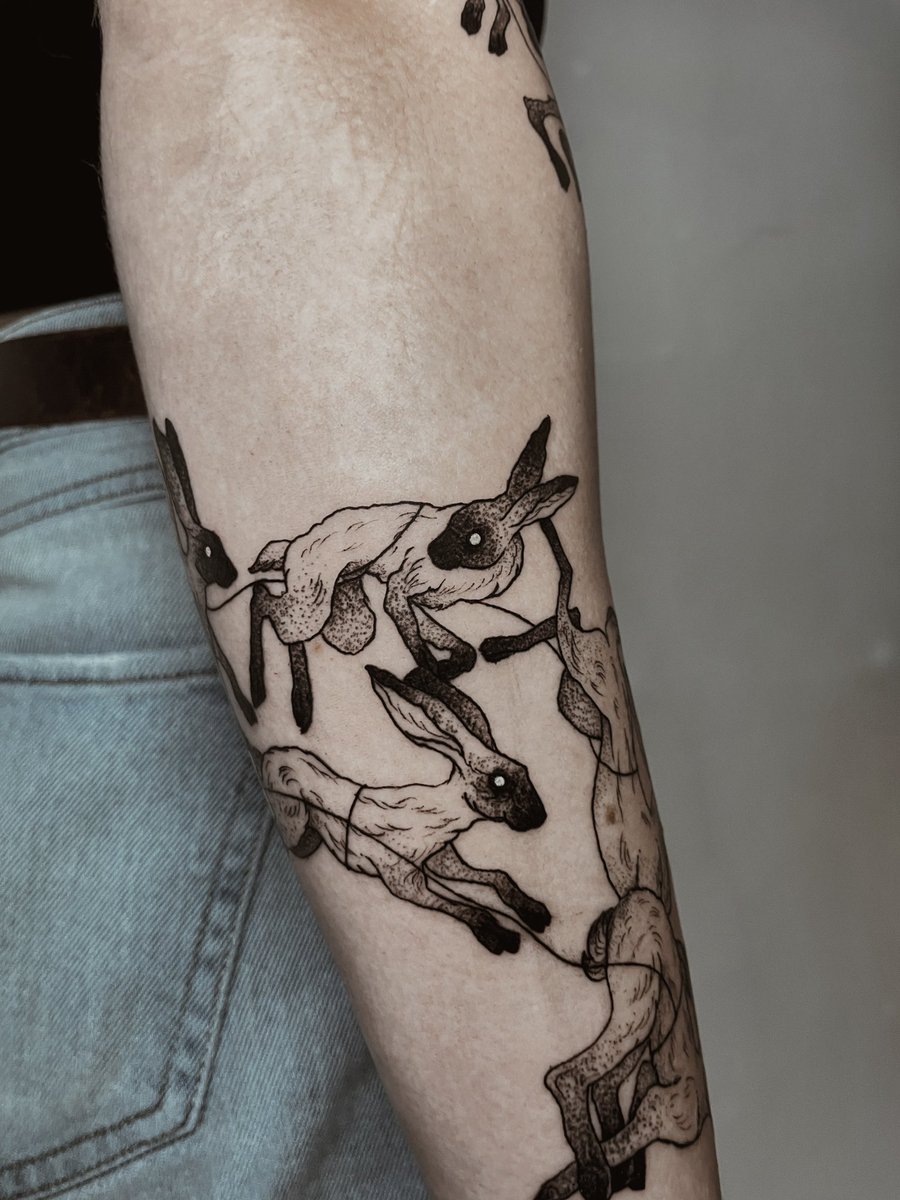 serkiton's tweet image. These are Rhosgobel rabbits. I'd like to see them try.