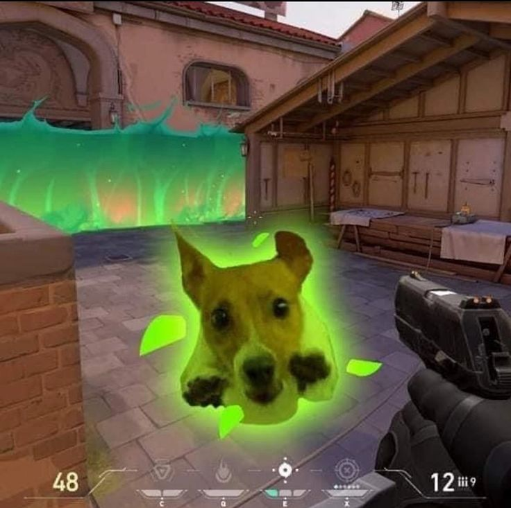 🚨 GAME DAY 🚨

It's our last game in the groups stage against our friends so let's make it a good one! Already locked in for playoffs so let's have fun today!🩶

🆚 <a href="/sillyseals_vlr/">SILLY SEALS</a> 
⏰ 7PM CEST
📺 ttv / T4CVAL