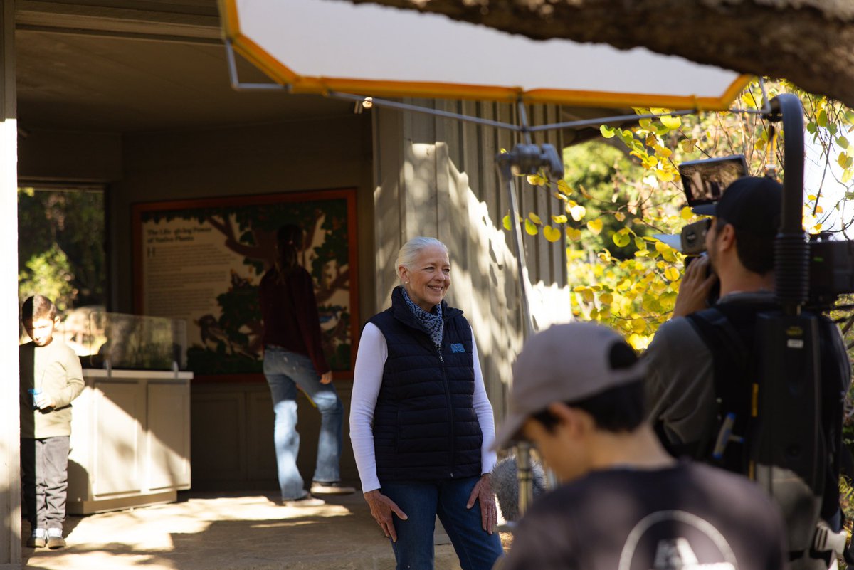 Lure Digital tweet media