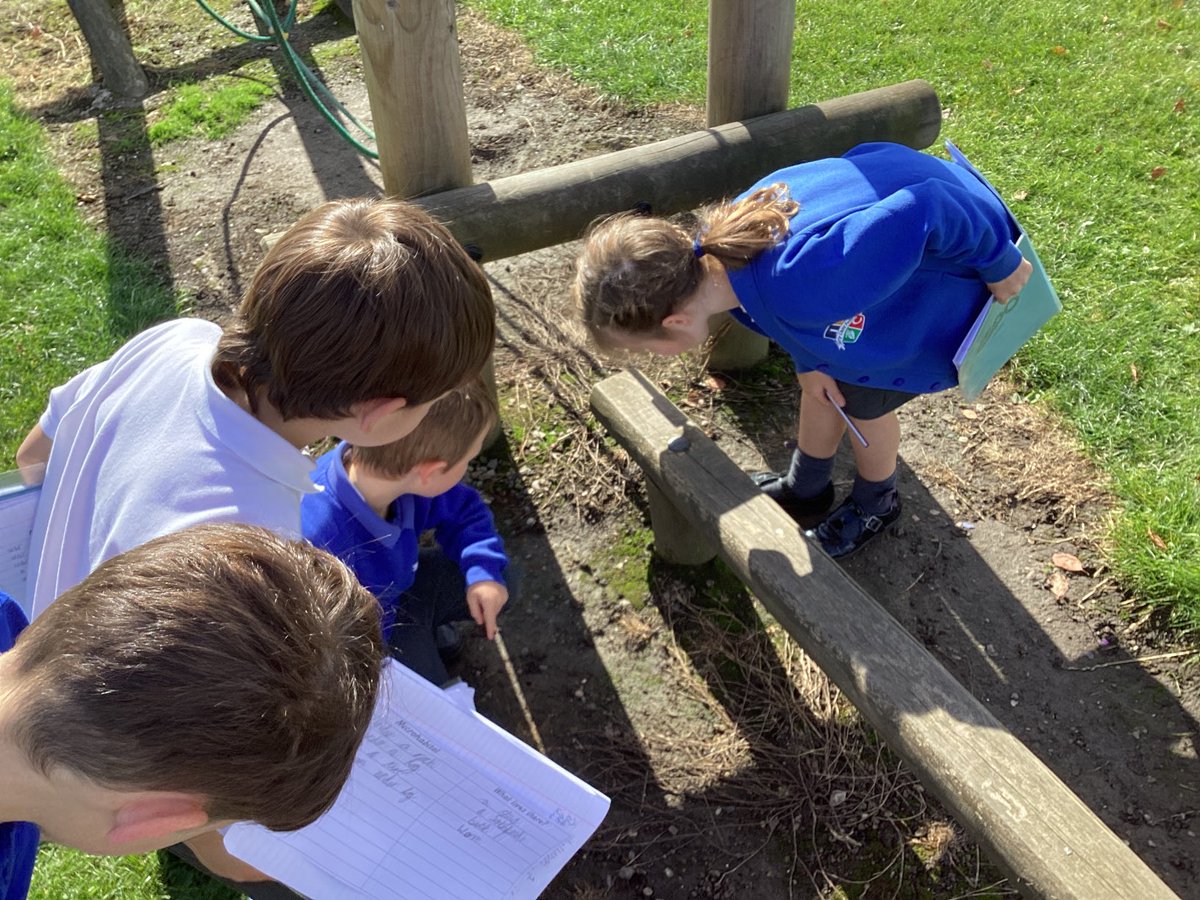 Jerry Clay Academy (@jcawakefield) on Twitter photo In Science, Year 2 observed micro habitats in our outdoor areas and recorded what living things they found there! Some fantastic investigating! <a href="/JCA_Science/">Jerry Clay Academy Science</a> #microhabitats #minibeasts In Science, Year 2 observed micro habitats in our outdoor areas and recorded what living things they found there! Some fantastic investigating! <a href="/JCA_Science/">Jerry Clay Academy Science</a> #microhabitats #minibeasts