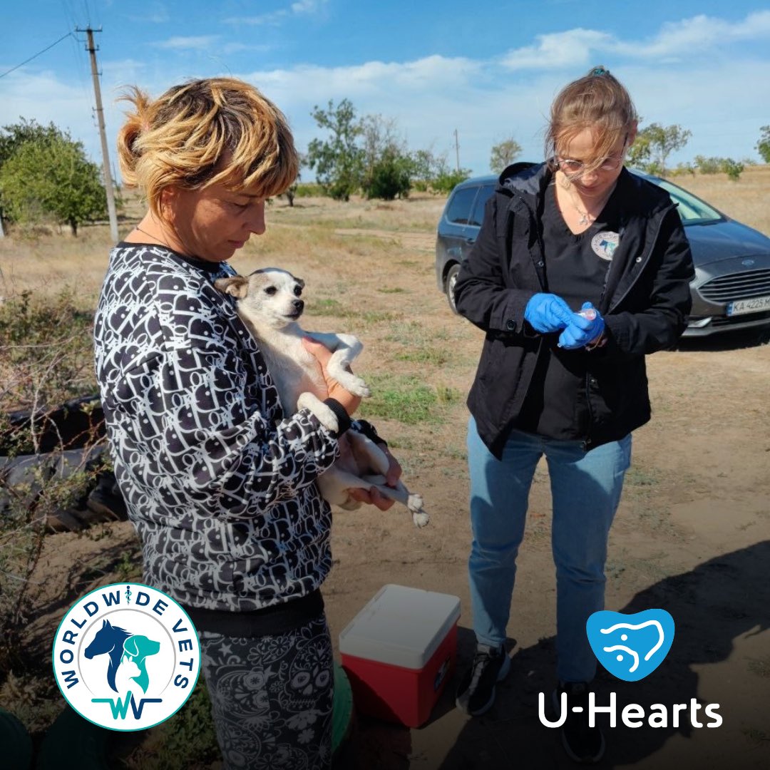 UHeartsFound's tweet image. We’re glad to support vets by providing the supplies they need to treat and prevent pet diseases. Recently, we donated 400 doses of Biocan R vaccines to the @WorldwideVets team 💙💉#PetHealth #VaccinesWork #SupportVets
