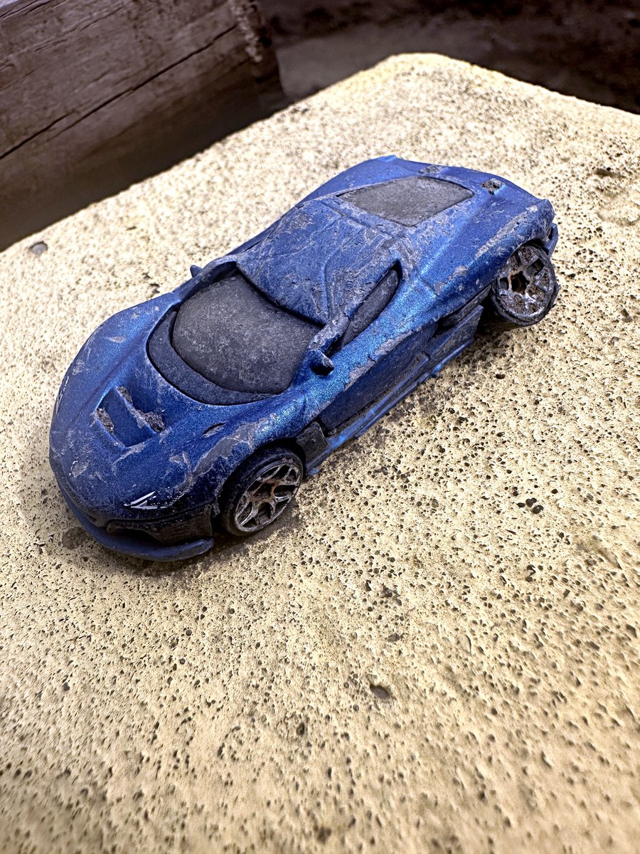 Loittle treasures you find out in the yard! Took a beating!