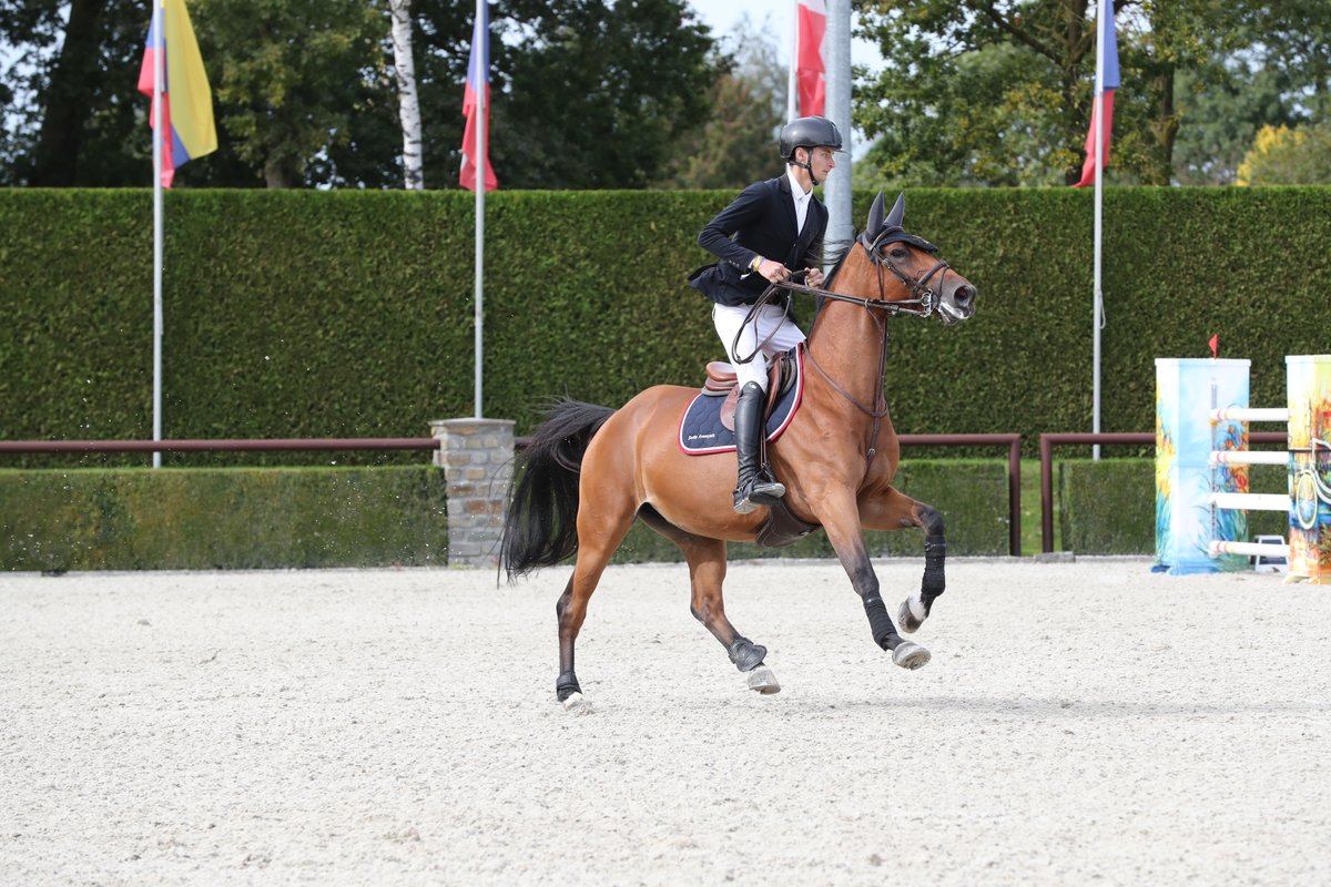 Journal Le Cheval tweet media