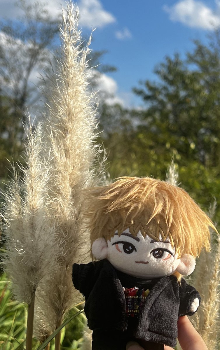 Autumn photos- zico🌾
#블락비 #blockb