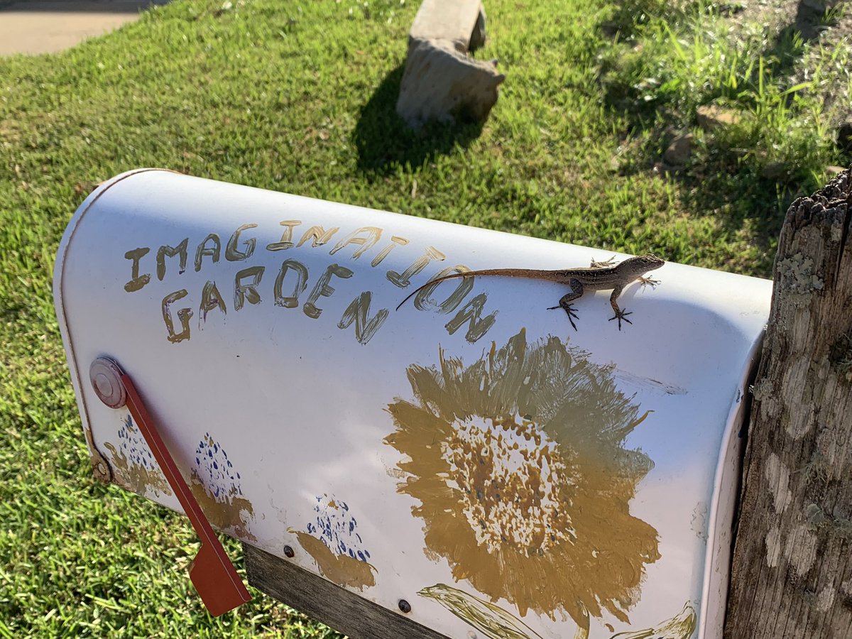 Elaine Winger (@wingerrtgg) on Twitter photo Garden maintenance is an important part of Garden Day. These third graders were awesome helpers. We even had a Watch Dog Dad join in the fun!! <a href="/readygrowgarden/">Ready to Grow Garden</a> <a href="/heathermotzny/">Heather Motzny</a> <a href="/SampsonElem/">Sampson Elementary</a> <a href="/SampsonPTO/">Sampson PTO</a> <a href="/3rdGradeSampson/">Sampson 3rd Grade</a> Garden maintenance is an important part of Garden Day. These third graders were awesome helpers. We even had a Watch Dog Dad join in the fun!! <a href="/readygrowgarden/">Ready to Grow Garden</a> <a href="/heathermotzny/">Heather Motzny</a> <a href="/SampsonElem/">Sampson Elementary</a> <a href="/SampsonPTO/">Sampson PTO</a> <a href="/3rdGradeSampson/">Sampson 3rd Grade</a>