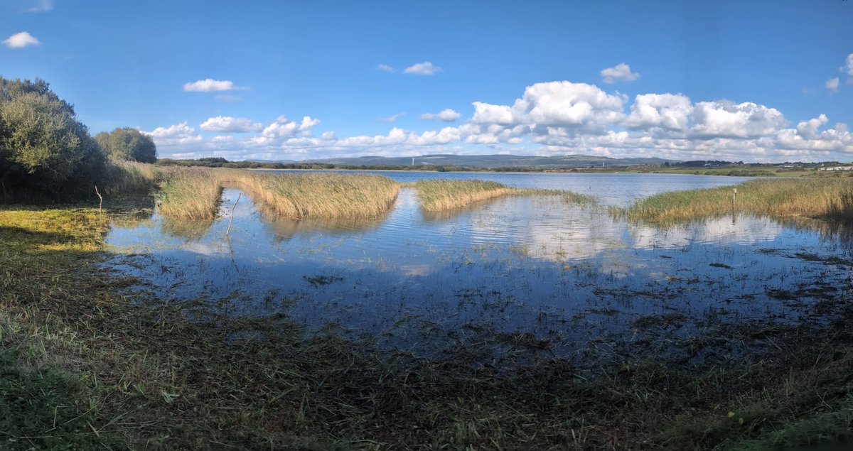 What a difference! Amazing what we did 👏 well done to you volunteers 🎊 thank you 😊