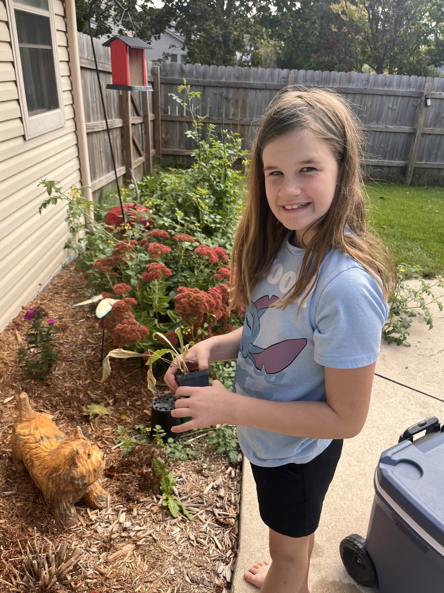 Each year, Root-Pike WIN gives away hundreds of native plants, and we LOVE it when our friends send us their planting photos!! 🌿Congratulations to Iris Rae from Somers Elementary (<a href="/SomersEagles/">Somers Elementary</a>)  on winning a flat of Monarch Butterfly-supporting native plants! 🦋