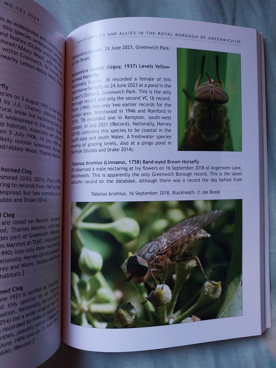 Joe Beale tweet media