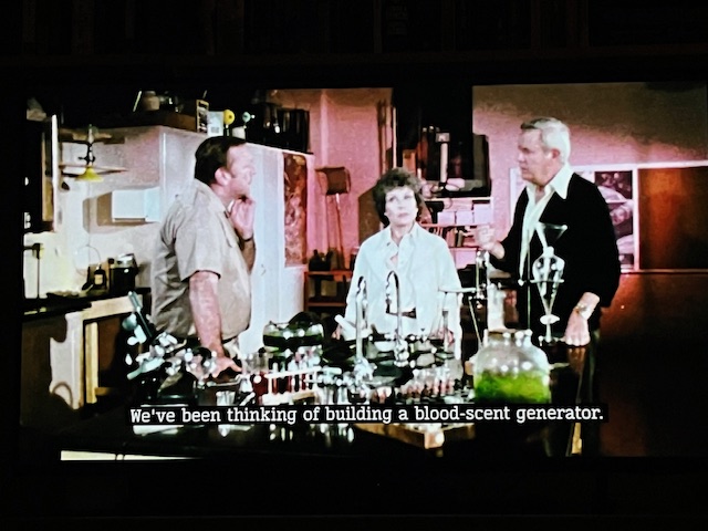 Julia Smith tweet media