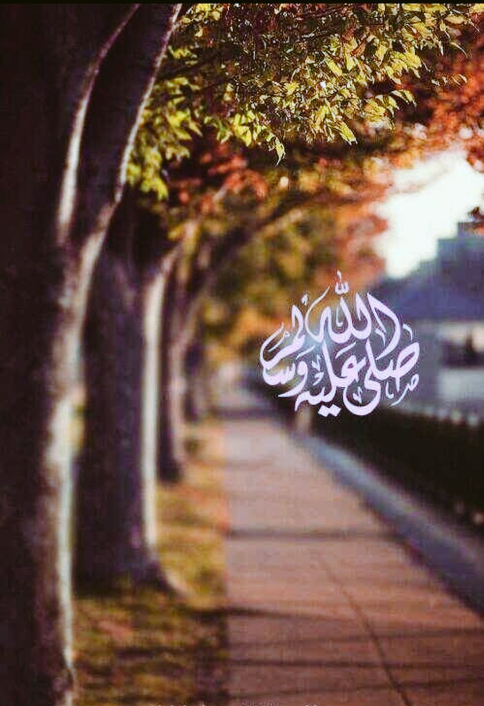 نايف إبراهيم tweet media