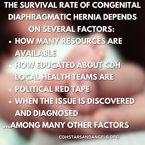 CDH Stars and Angels tweet media