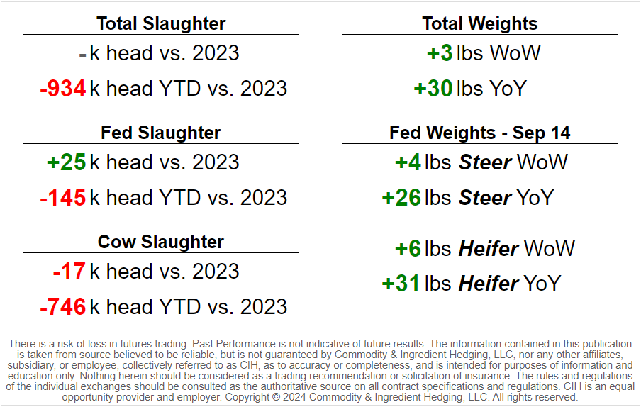 Actual Cattle Slaughter Update (Week of Sep 28)

Total Cattle Slaughter ➡️ 612k
Fed Slaughter ➡️ 497k
Cow Slaughter ➡️ 104k
#cattle #cattleslaughter