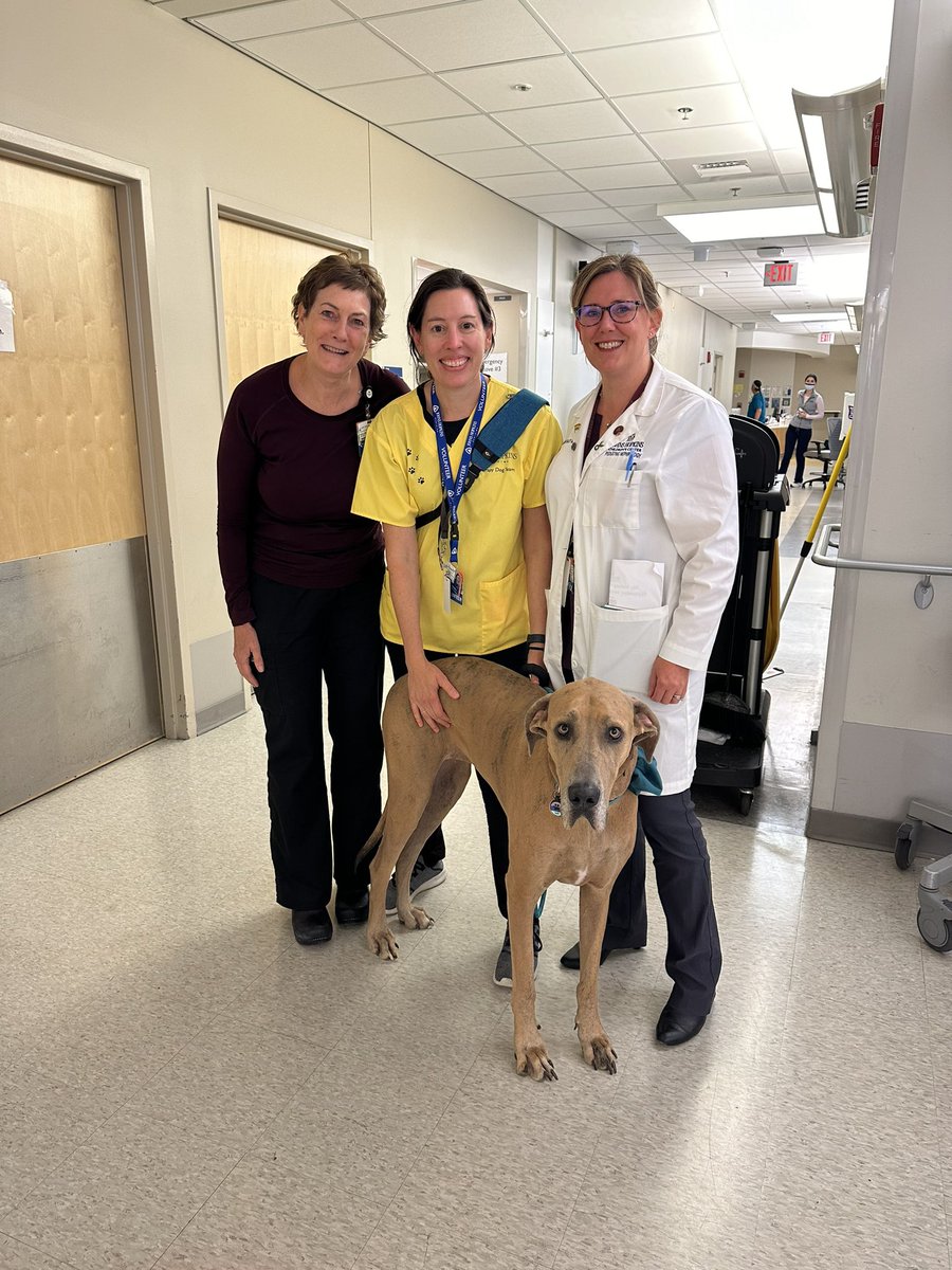 Tammy Brady tweet media